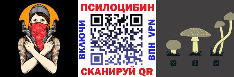 hydra вход  Белая Холуница  Галлюциногенные грибы GOLDEN TEACHER 
